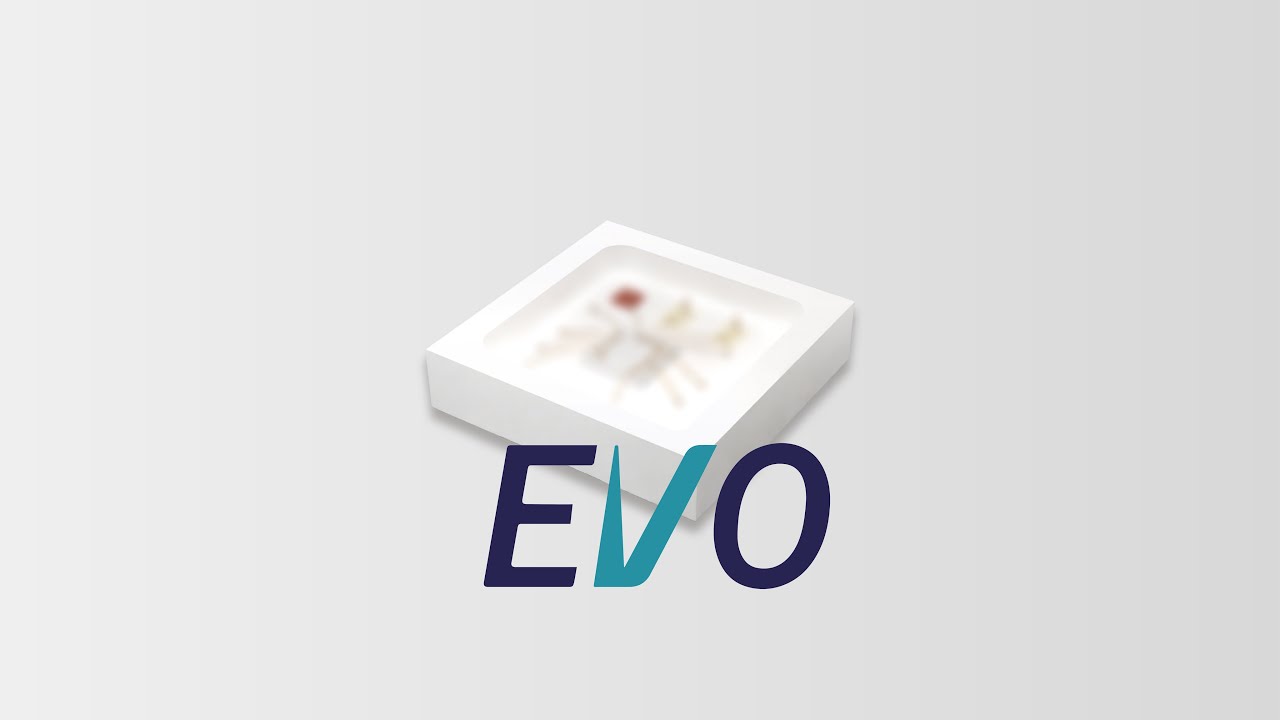 EVVO Programmierbare Logikbauteile &amp; Halbleiter - HQICKEY